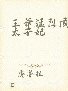 王爷猛烈顶弄H太子妃