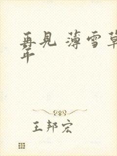 再见 薄雪草少年