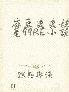 麻豆爽爽妓女国产99RE小说