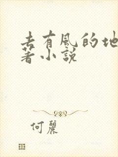 去有风的地方原著小说