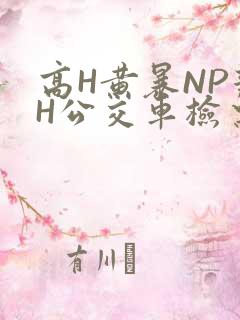 高H黄暴NP辣H公交车检票员