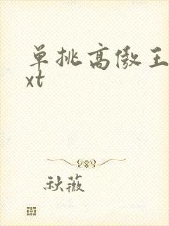 单挑高傲王子txt
