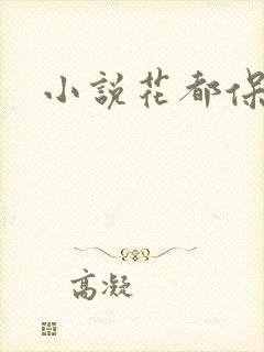 小说花都保镖