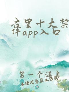 夜里十大禁用软件app入口