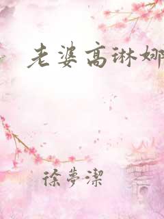 老婆高琳娜出轨