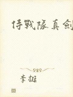 侍战队真剑者2