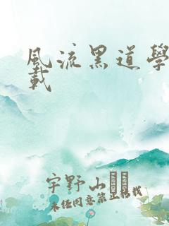 风流黑道学生下载