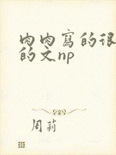 肉肉写的很细致的文np