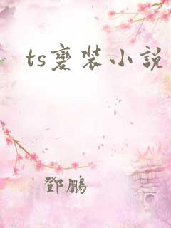ts变装小说