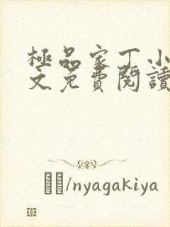 极品家丁小说全文免费阅读