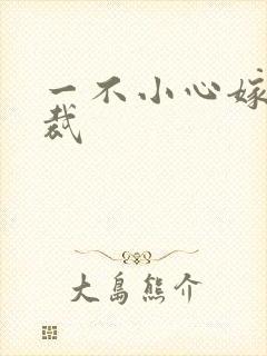 一不小心嫁给总裁