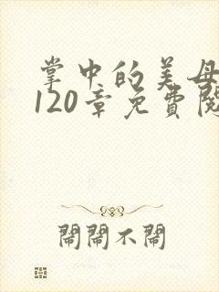 掌中的美母版主120章免费阅读