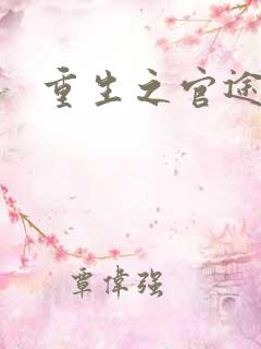 重生之官途风流