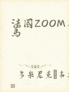 法国ZOOM人马