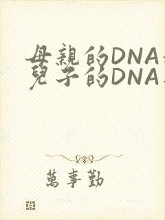 母亲的DNA和儿子的DNA是一样的吗