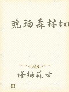 琥珀森林txt