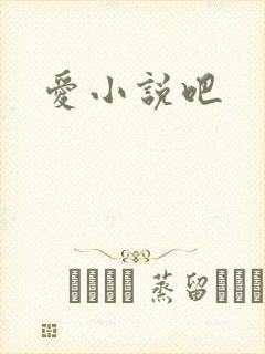 爱小说吧