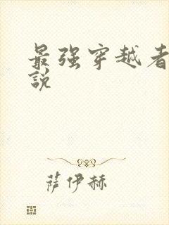 最强穿越者 小说