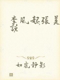 李风起张美丽小说