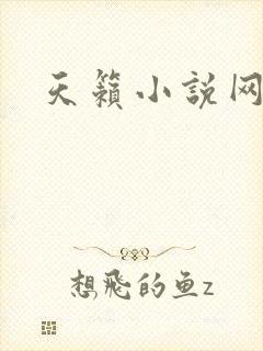 天籁小说网