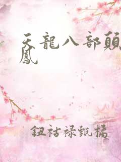 天龙八部颠龙鸾凤