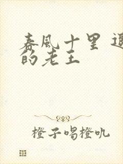 春风十里 退休的老王