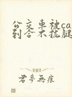 公交车被cao到合不拢腿app