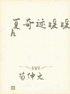 夏奇迹暖暖快穿h