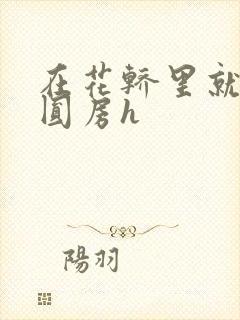 在花轿里就开始圆房h