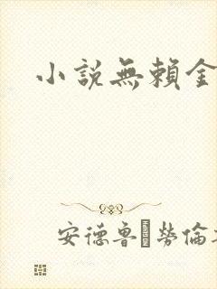 小说无赖金仙