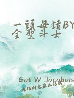 一头母猪BY黄金圣斗士