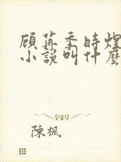 顾苒季时煜电竞小说叫什么名字