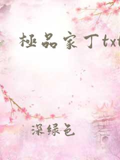 极品家丁txt