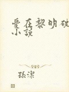 爱在黎明破晓前小说