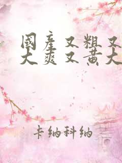 国产又粗又猛又大爽又黄大爷