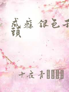 成瘾 银色子弹头