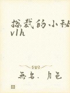 总裁的小秘书1v1h