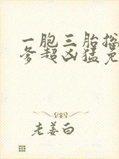 一胞三胎总裁爹爹超凶猛免费阅读