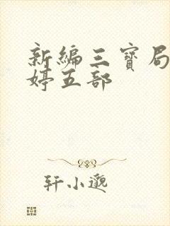 新编三宝局长许婷五部