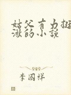 姑父有力挺送徐湫的小说