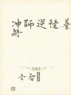 冲师逆徒养成手册