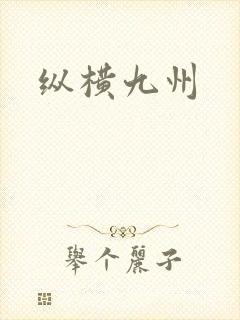 纵横九州