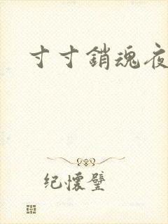 寸寸销魂夜春光