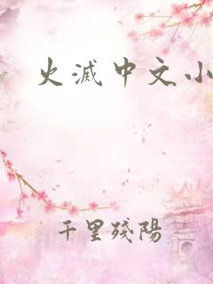 火灭中文小说