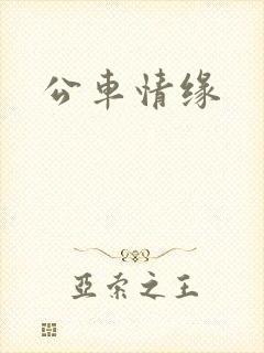 公车情缘