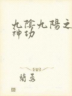 九阴九阳之阴阳神功