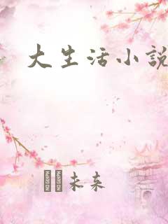 大生活小说
