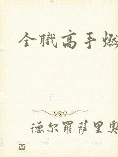 全职高手燃文