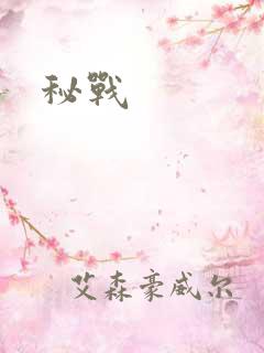 秘战