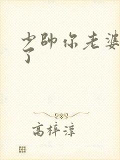 少帅你老婆又跑了